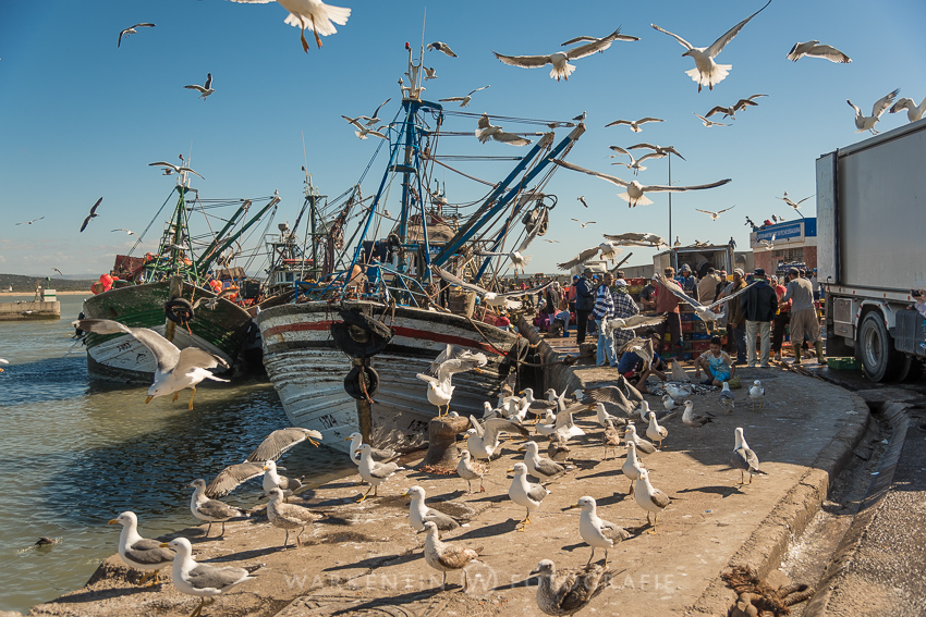 Fischereihafen von Essaouira